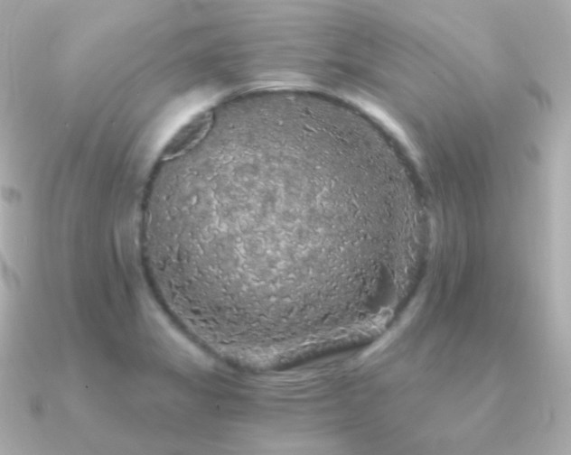 X0000091341325200708101437