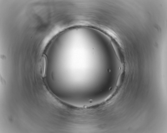 X0000091341326200708101437