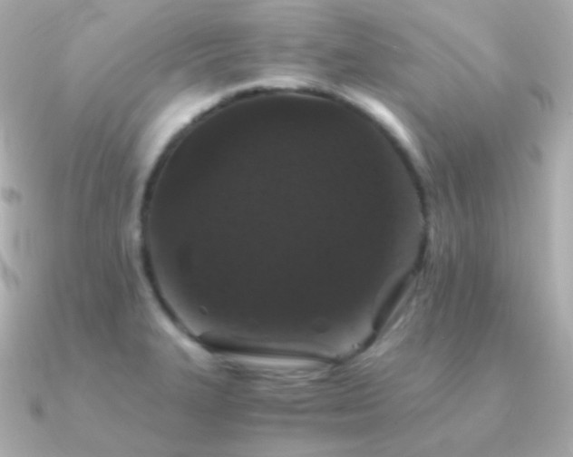 X0000091341327200708101437