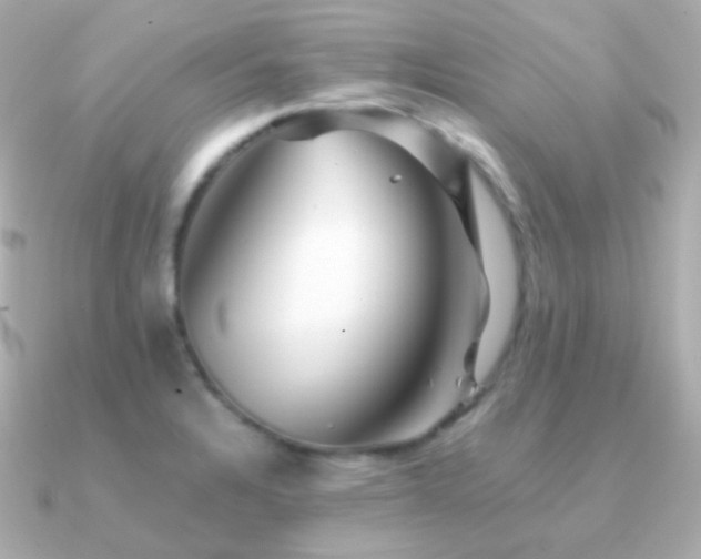 X0000091341328200708101437