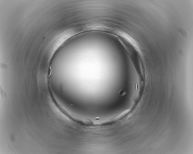 X0000091341330200708101437