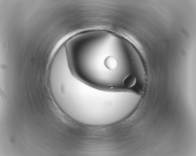 X0000091341332200708101437