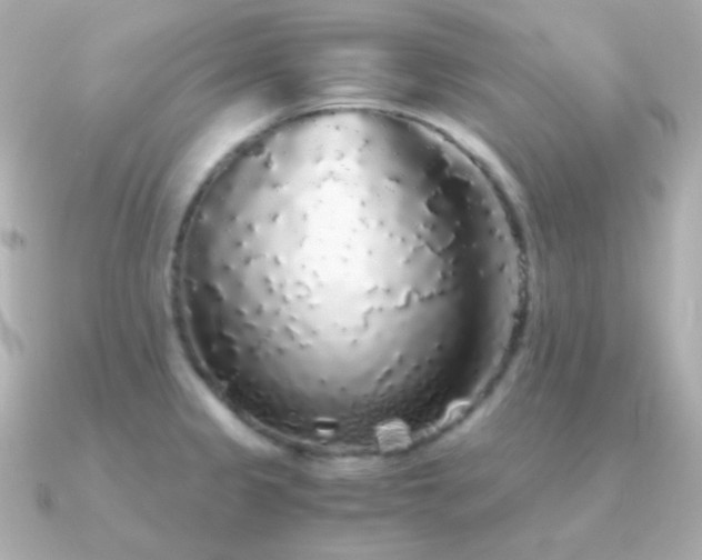 X0000091341333200708101437