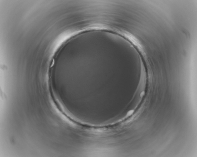 X0000091341334200708101437