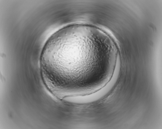 X0000091341335200708101437