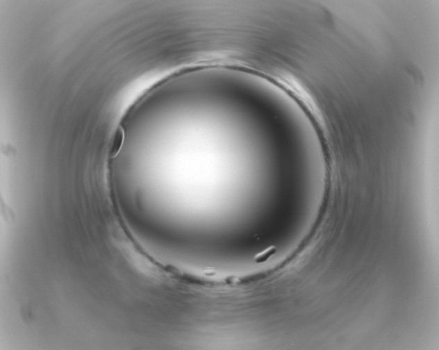 X0000091341336200708101437