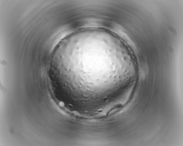 X0000091341337200708101437