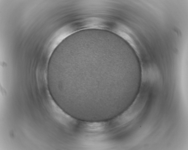 X0000091341338200708101437