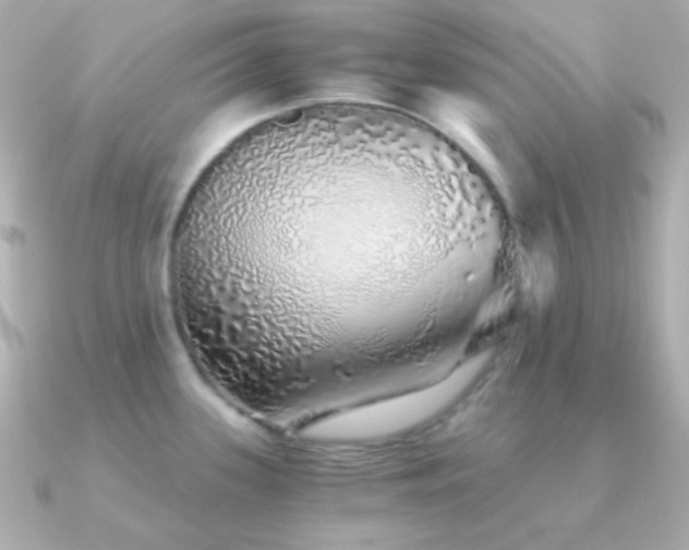 X0000091341339200708101437