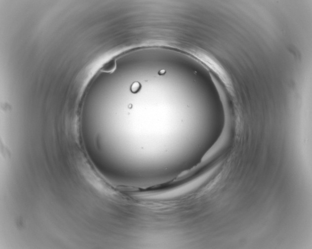 X0000091341340200708101437