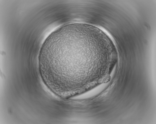 X0000091341341200708101437