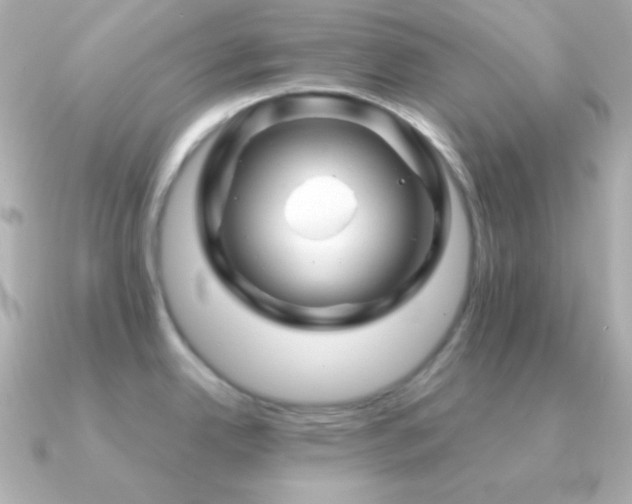 X0000091341342200708101437