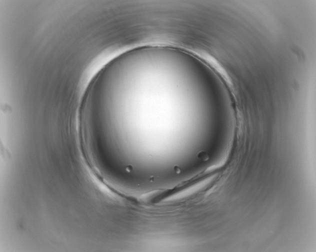 X0000091341343200708101437