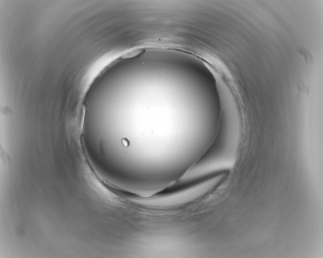 X0000091341344200708101437