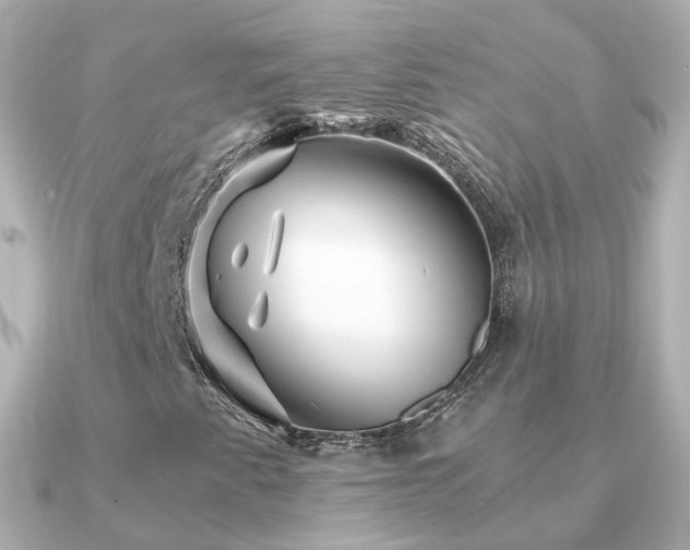 X0000091341345200708101436