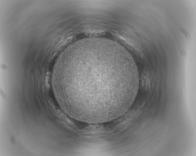 X0000091341346200708101436
