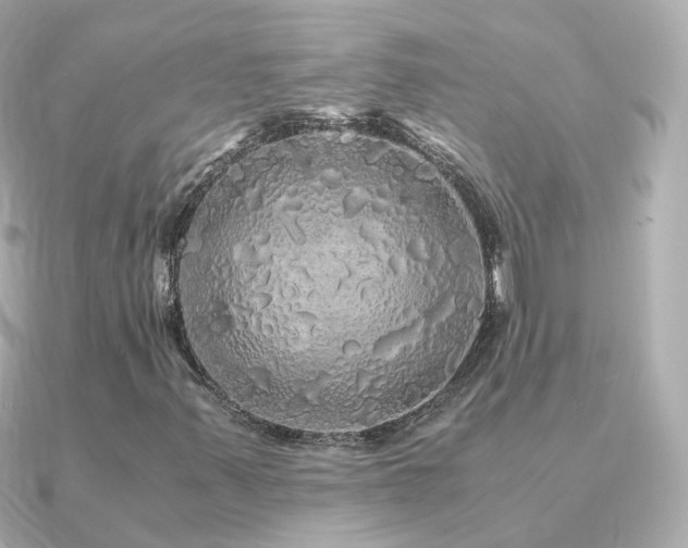 X0000091341347200708101436