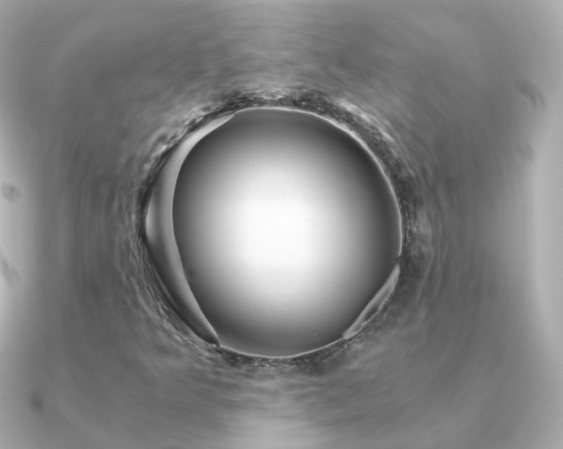 X0000091341349200708101436
