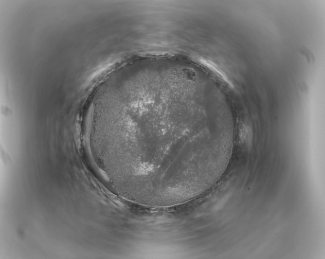 X0000091341350200708101436