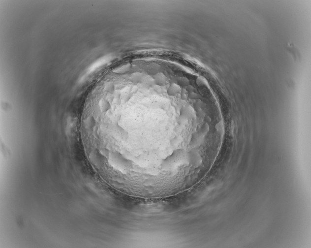 X0000091341351200708101436