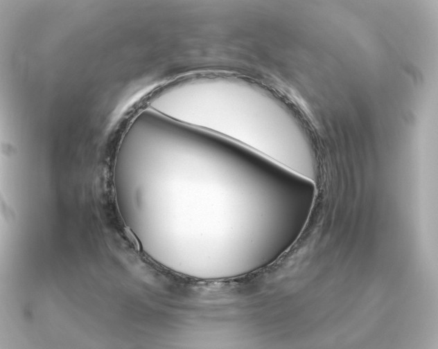 X0000091341352200708101436