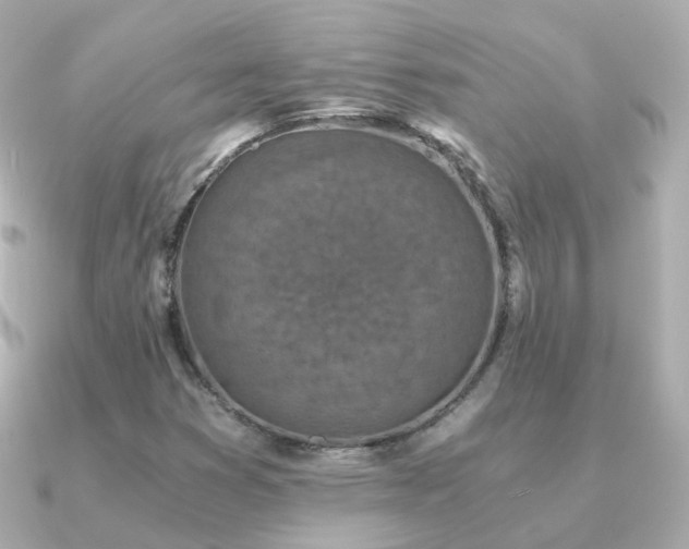 X0000091341353200708101436
