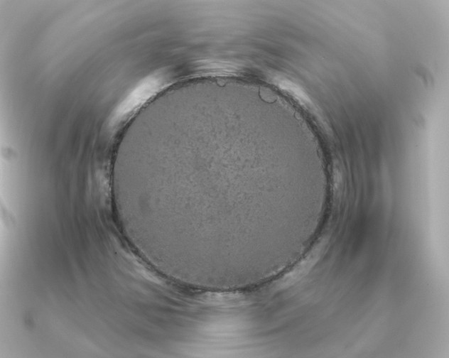 X0000091341354200708101436