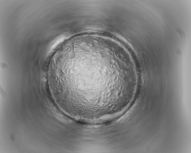 X0000091341355200708101436
