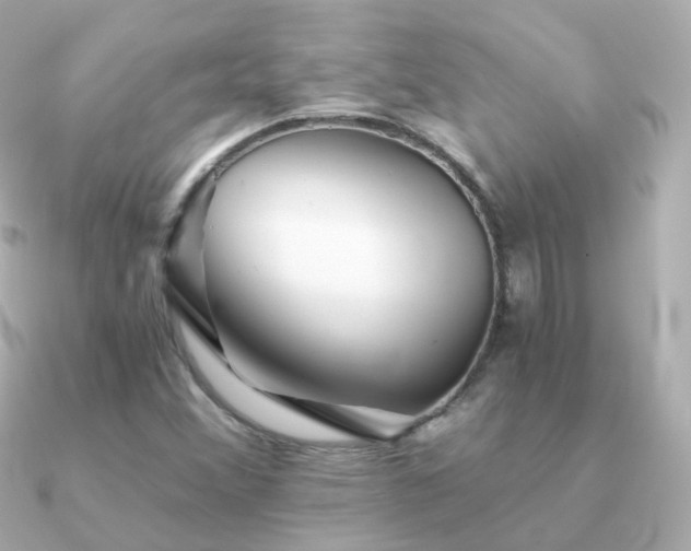 X0000091341356200708101436