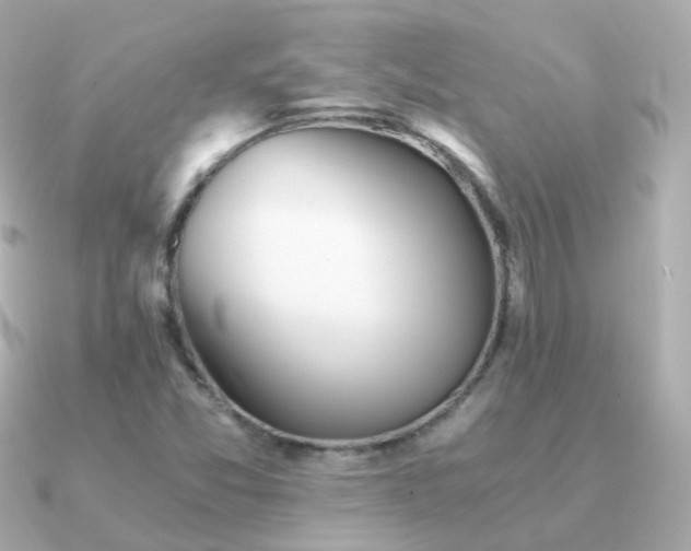 X0000091341357200708101436