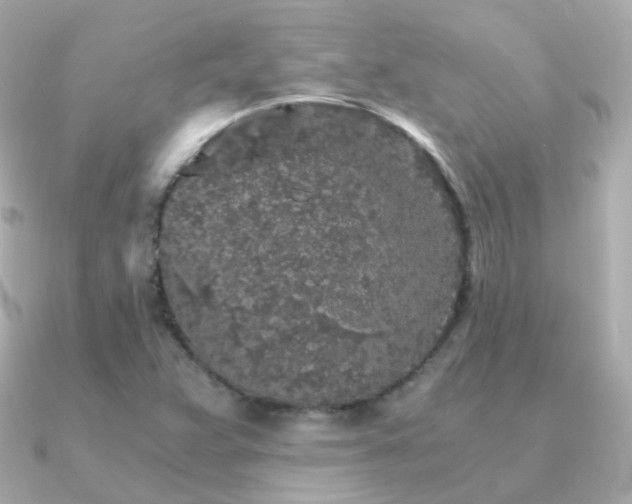 X0000091341359200708101436