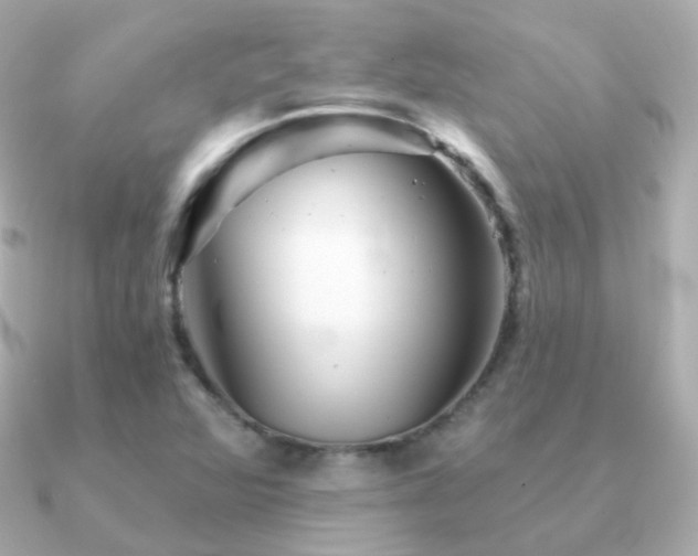 X0000091341360200708101436