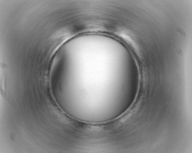 X0000091341361200708101436