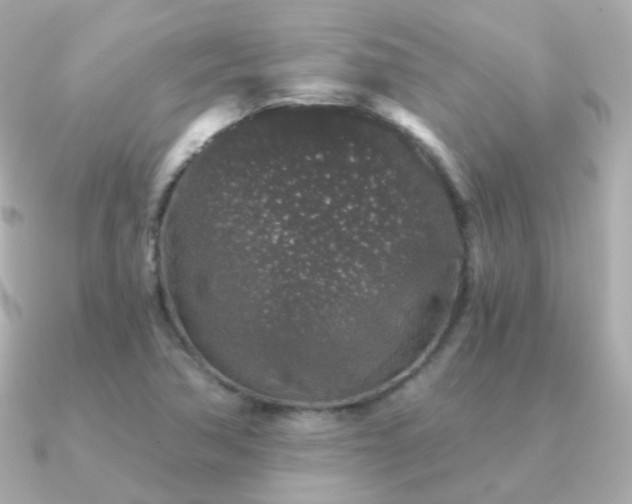X0000091341362200708101436