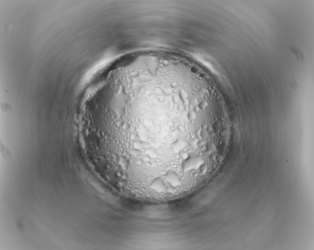 X0000091341363200708101436