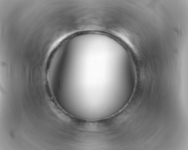 X0000091341364200708101436
