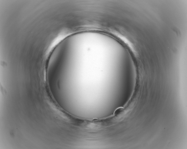 X0000091341365200708101436