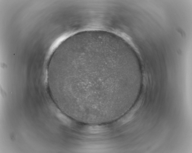 X0000091341366200708101436