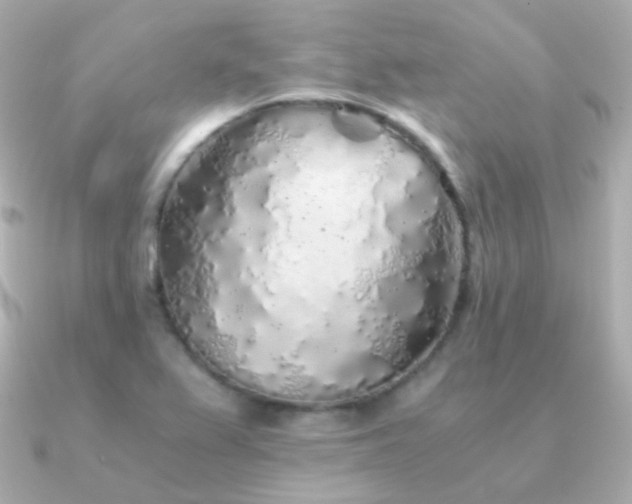 X0000091341367200708101436