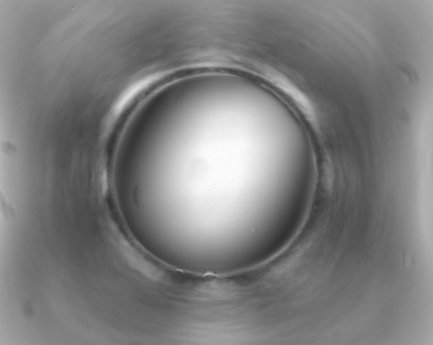 X0000091341368200708101436