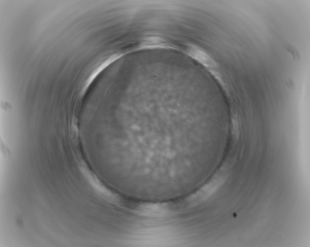 X0000091341369200708101436