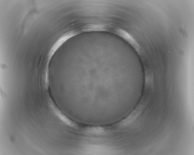 X0000091341370200708101436