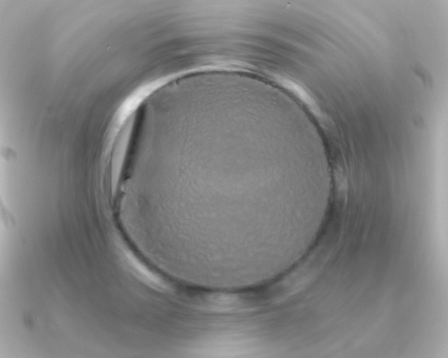 X0000091341371200708101436