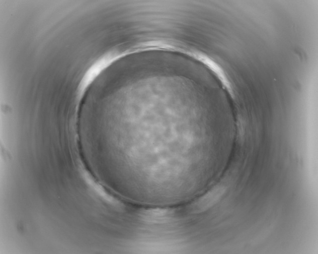 X0000091341373200708101436