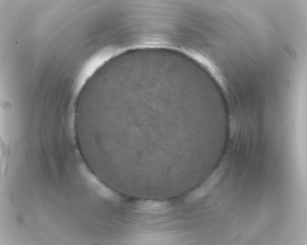 X0000091341374200708101436