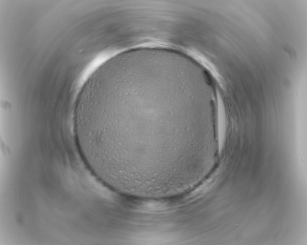 X0000091341375200708101436