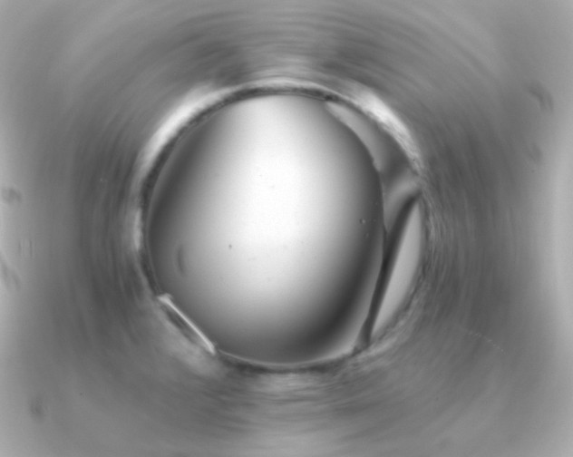X0000091341376200708101436