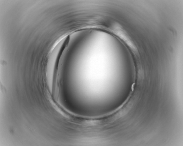 X0000091341377200708101436