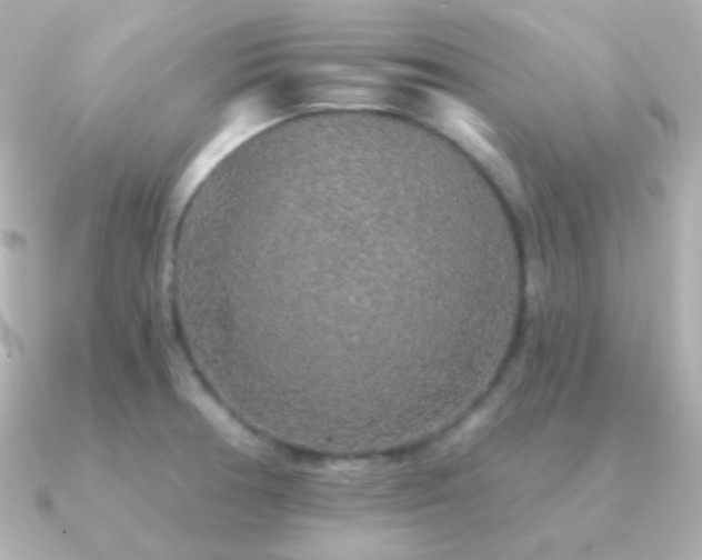 X0000091341378200708101436