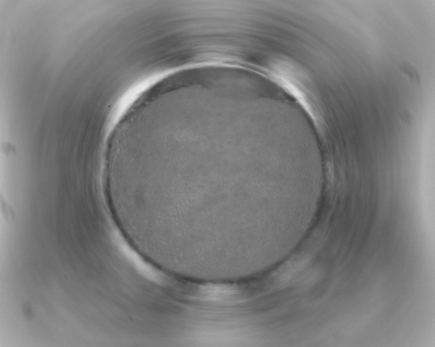 X0000091341379200708101436